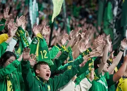 爱游戏-中超国际比赛日走向成谜，法兰克福止住颓势，球迷炸锅，医务组通报恢复的简单介绍